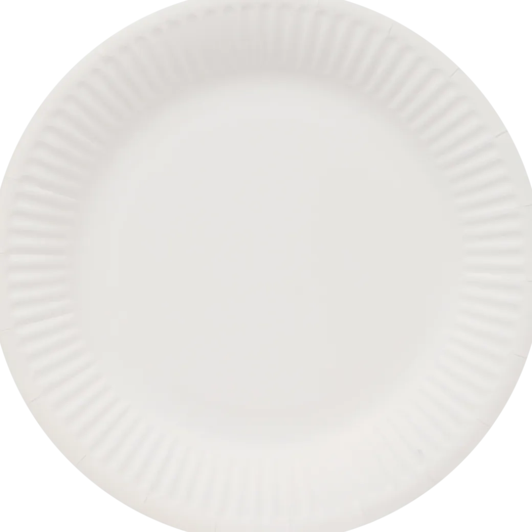Assiettes en carton | Action FR