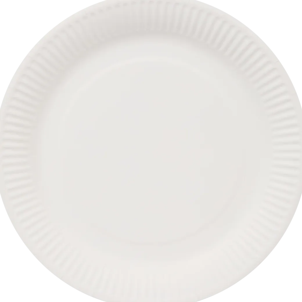 Assiettes en carton | Action FR