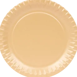 Assiettes en carton | Action FR