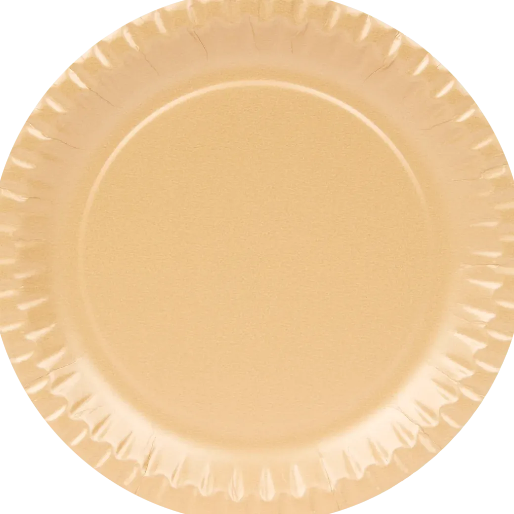 Assiettes en carton | Action FR