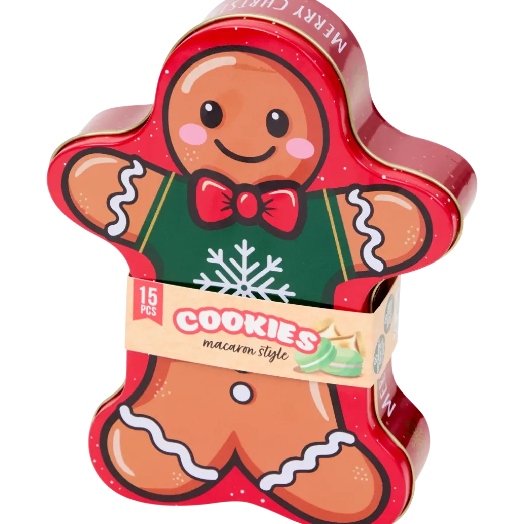 Biscuits dans boîte de Noël | Action FR