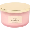 Bougie parfumée | Action FR