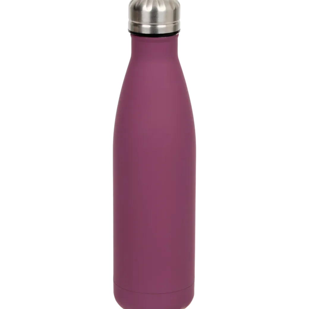 Bouteille isotherme DAY | Action FR
