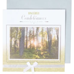 Carte de condoléances | Action FR
