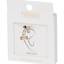Clous d'oreilles en acier inoxydable | Action FR