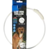 Collier LED rechargeable pour chien | Action FR