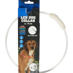 Collier LED rechargeable pour chien | Action FR