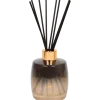 Diffuseur de parfum à bâtonnets | Action FR