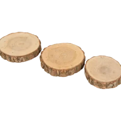 Disques en bois | Action FR