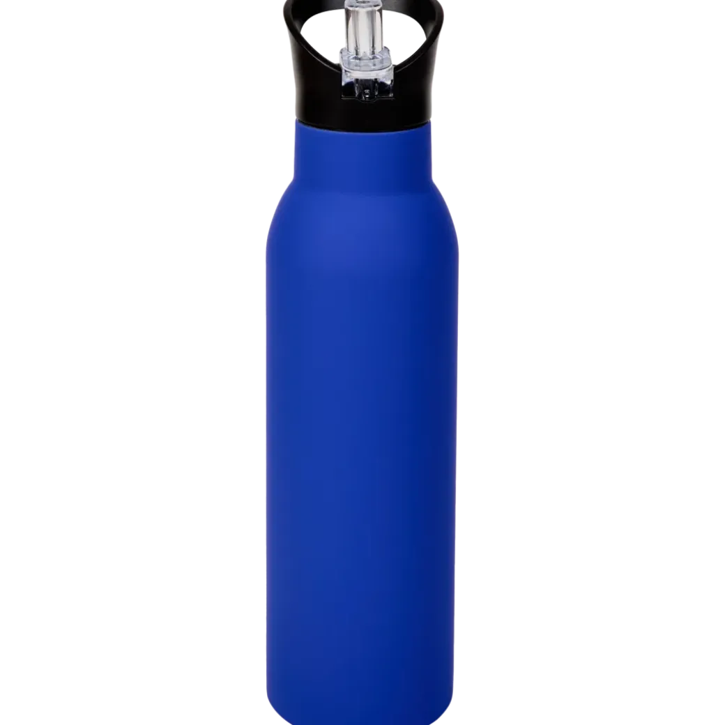 Gourde en acier inoxydable avec paille 500 ml | Action FR