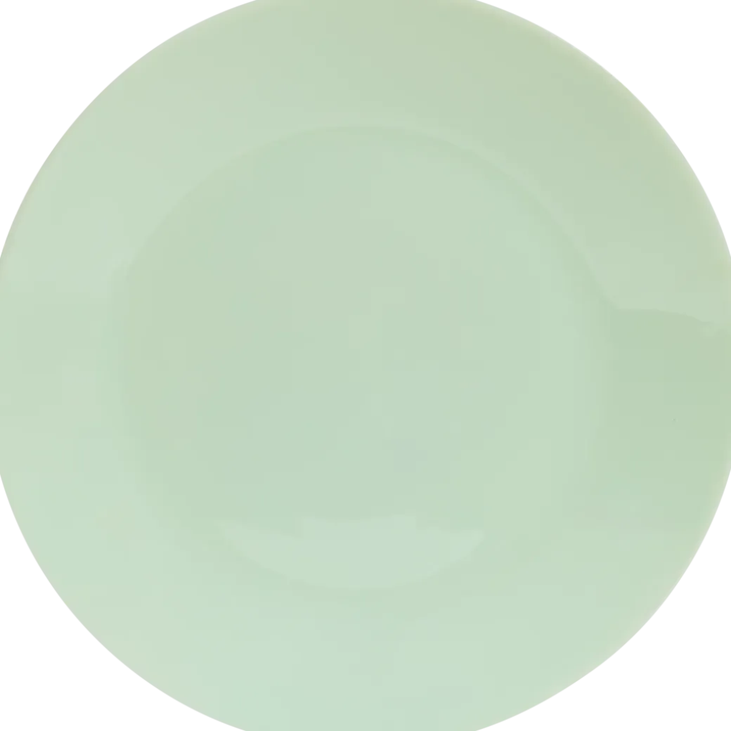 Grande assiette 25 cm | Action FR