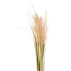 Gynérium artificiel Excellent Flowers | Action FR