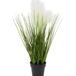 Herbe ornementale en pot | Action FR