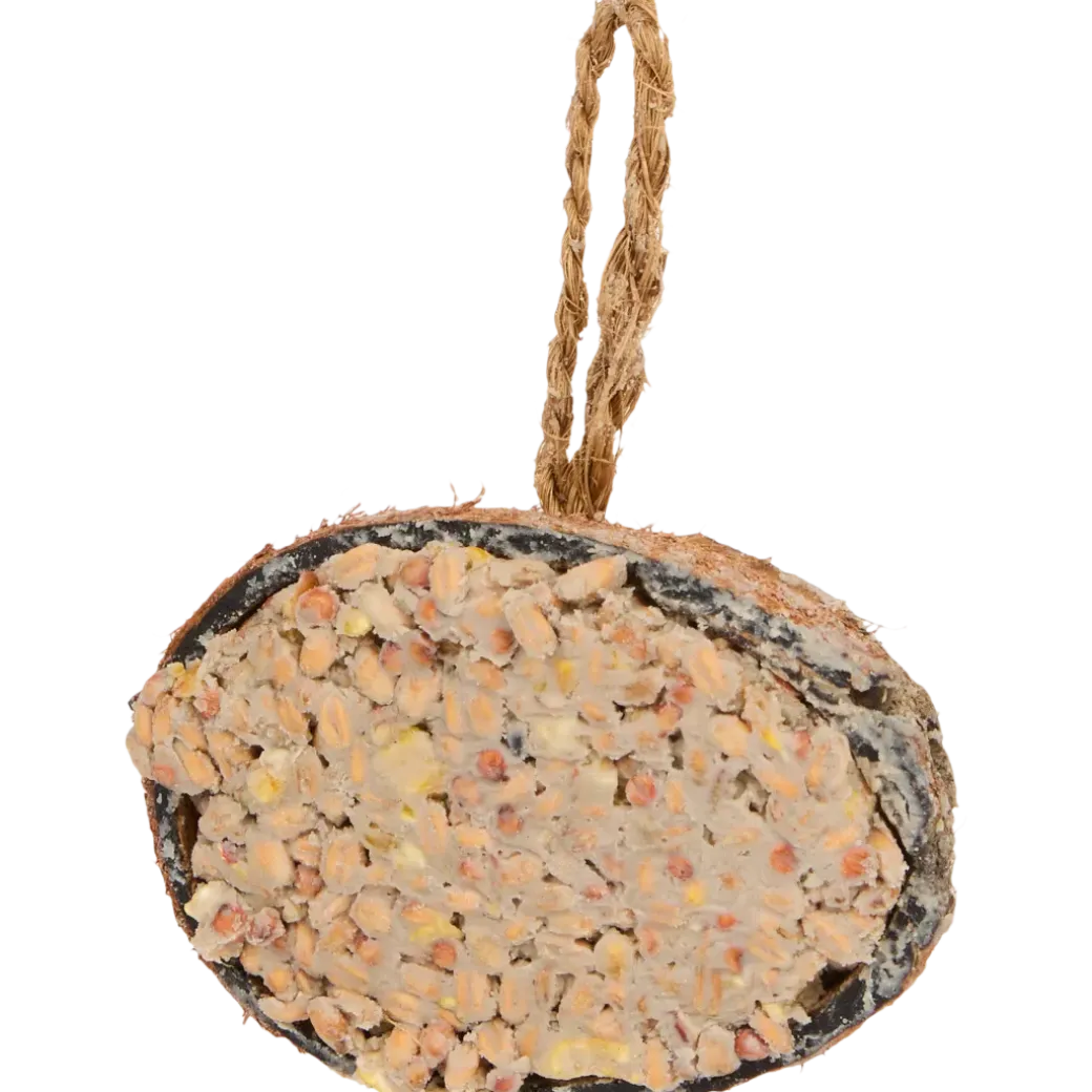 Noix de coco garnie pour oiseaux Bites for Birds | Action FR