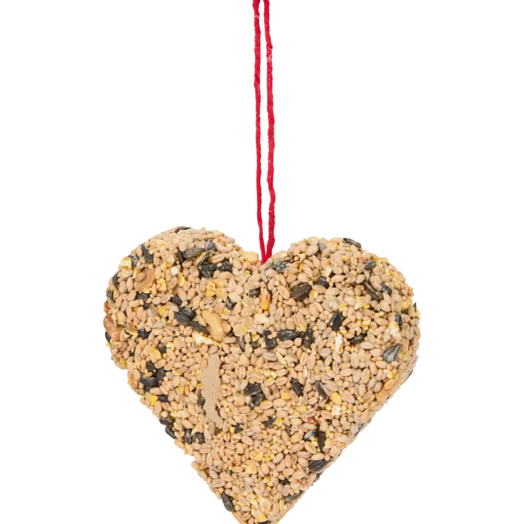 Nourriture pour oiseaux Bites for Birds | Action FR