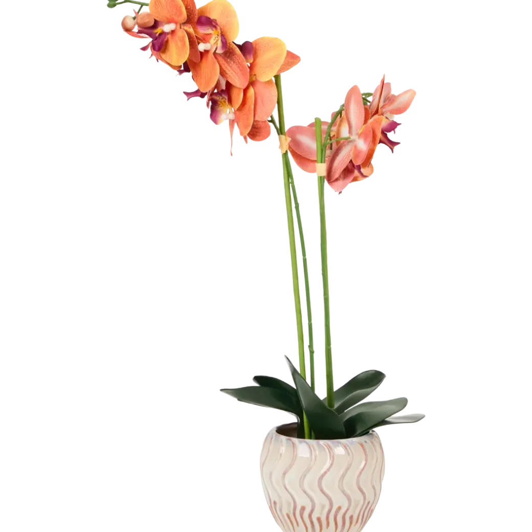 Orchidée artificielle en pot The Hamptons Collections HOME | Action FR