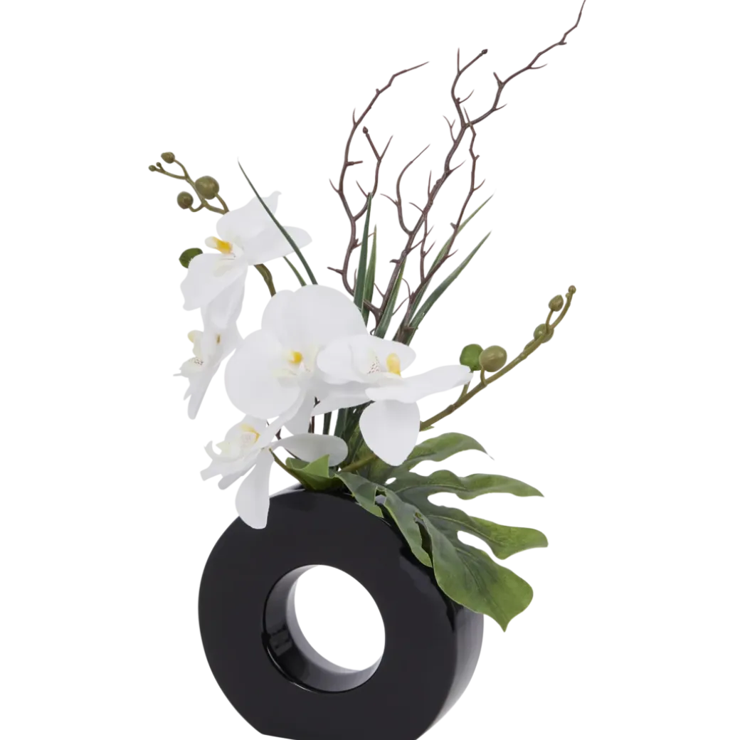 Orchidée dans un vase | Action FR