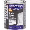 Peinture murale blanche Spectrum 2 en 1 Masque-taches Blanc | Action FR