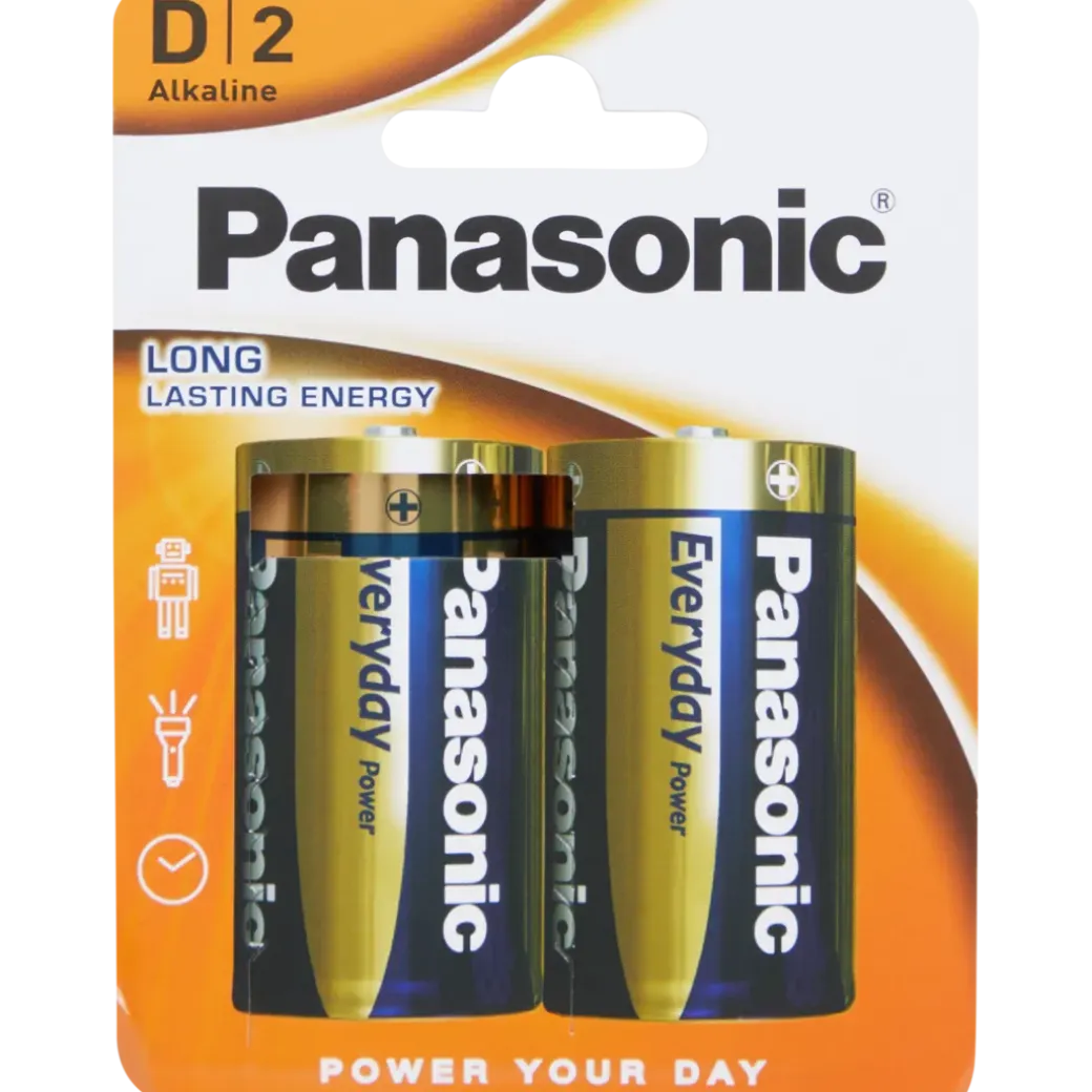 Piles Panasonic D 2 Pièces | Action FR