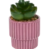 Plante grasse artificielle en pot | Action FR