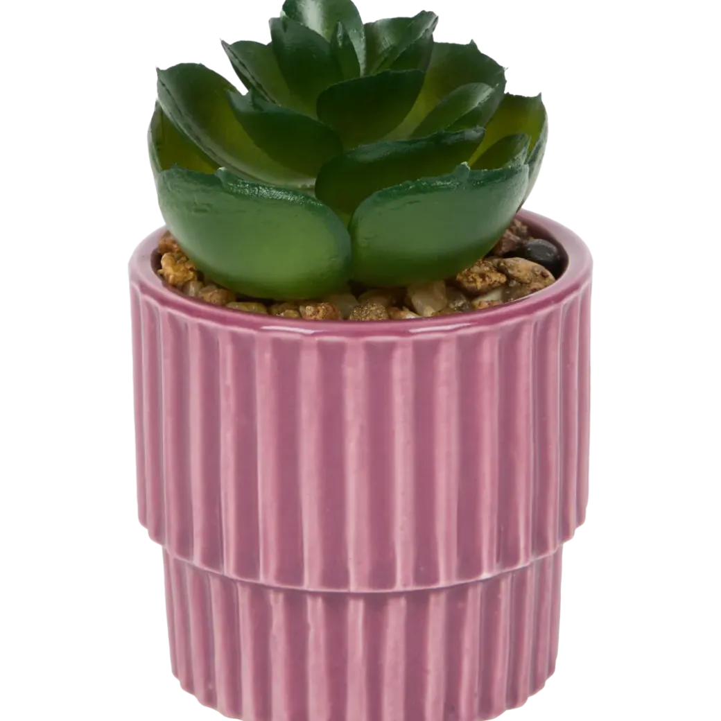 Plante grasse artificielle en pot | Action FR