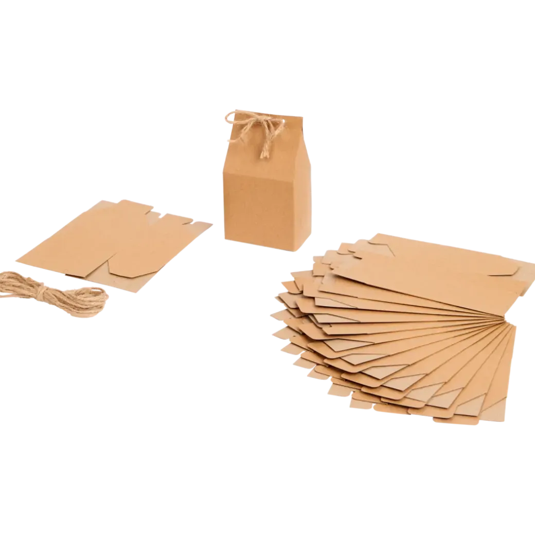 Pochettes cadeaux Hobby Flora | Action FR