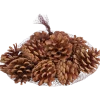 Pommes de pin décoratives Home Accents | Action FR