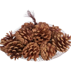 Pommes de pin décoratives Home Accents | Action FR