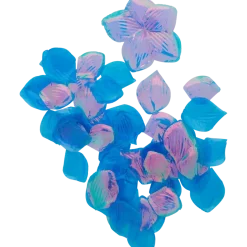 Pétales de fleurs | Action FR