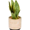 Sansevieria artificielle en pot The Hamptons Collections HOME | Action FR