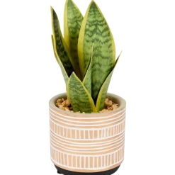 Sansevieria artificielle en pot The Hamptons Collections HOME | Action FR