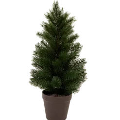 Sapin de Noël | Action FR