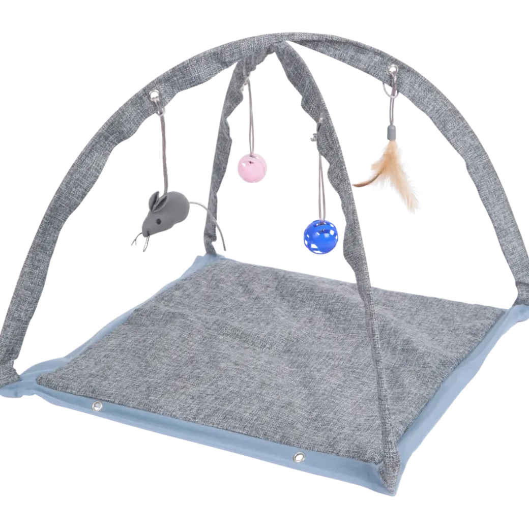 Tapis de jeu pour chats | Action FR